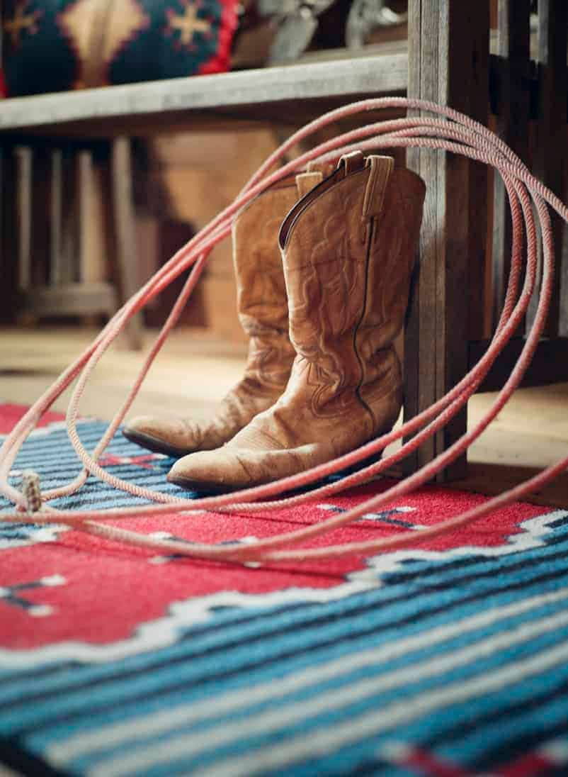 Shoe -