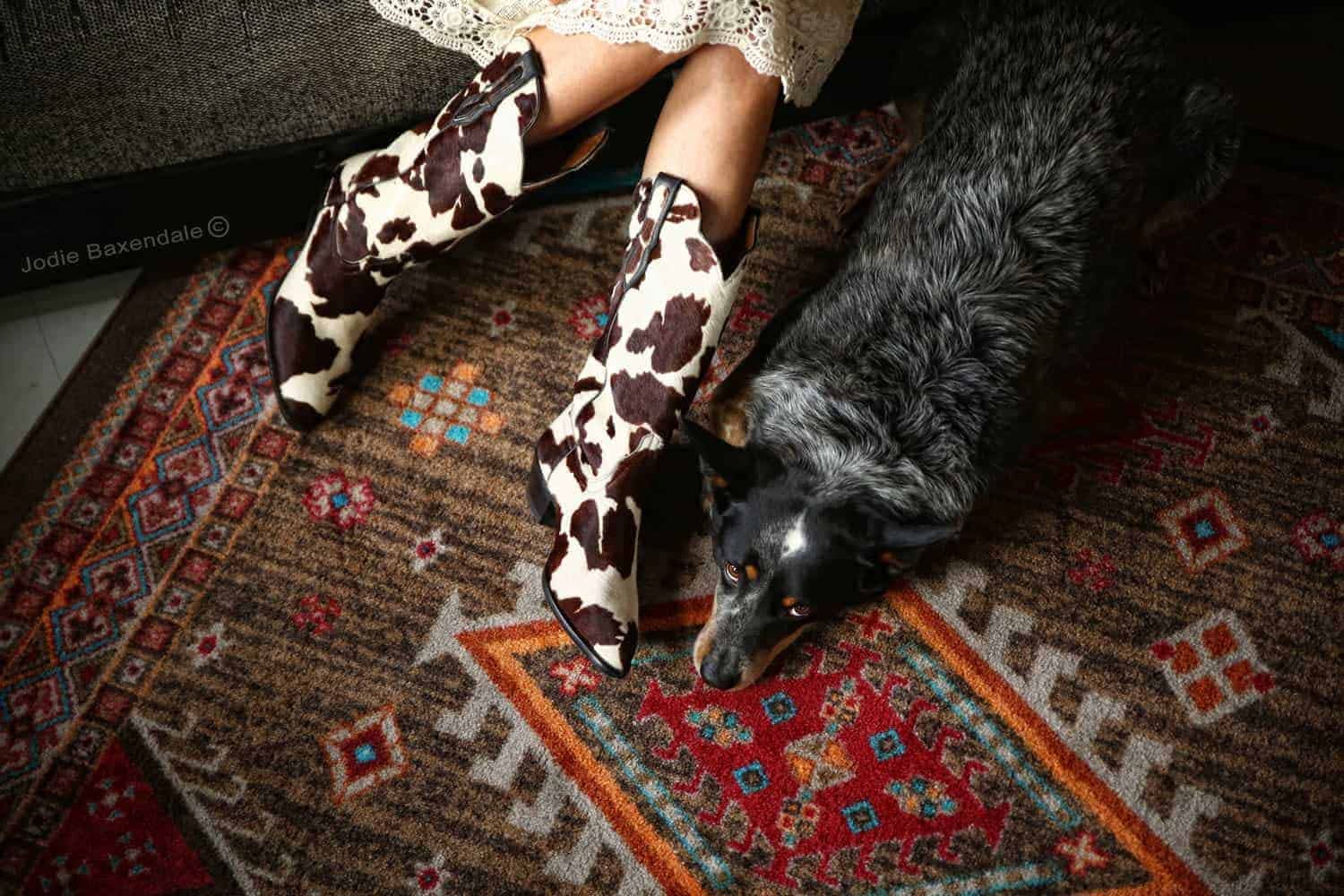 Carpet - Boston Terrier