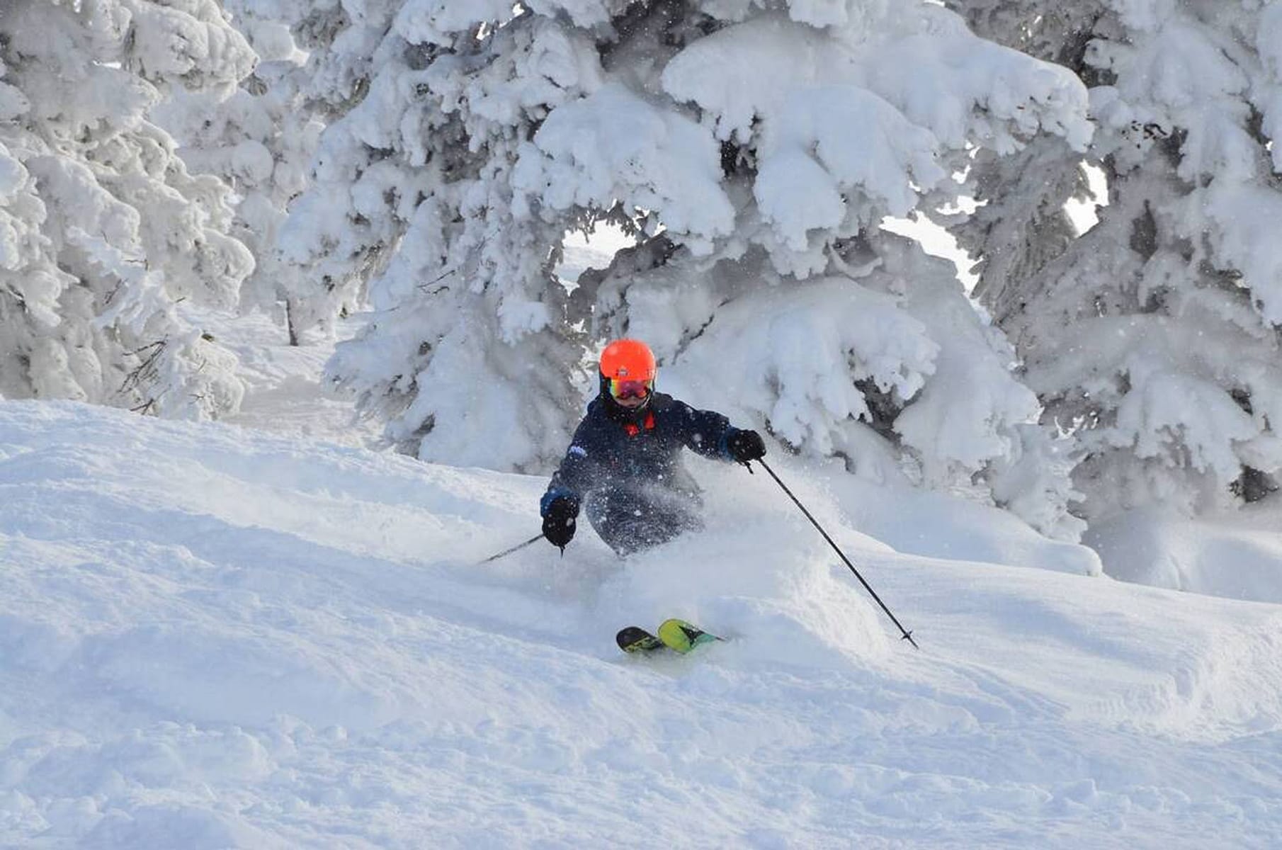 Swirling through the luminous powder of Teton Valley, a skier in a red helmet carves graceful arcs beneath frosted Engelmann spruce and lodgepole pine. Beyond the veil of snow-choked limbs, the serrated peaks of Jackson Hole rise—silent, ancient witnesses to untold generations of winter storms. Here in the heart of the Greater Yellowstone region, each turn becomes more than sport: it’s communion with a wild landscape shaped by fire and ice, uplift and calm. The diamond dust swirling off every carve speaks to an ecosystem both fragile and enduring; beneath these slopes lie migrations paths for elk and wolves that ripple across three states. In this sanctuary where wilderness endures—where steam from nearby hot springs drifts above river valleys—a skier is not just chasing adrenaline but joining an ongoing story told in wind-scoured ridgelines and forests bristling with snows deep hush.
