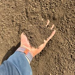 Screened Topsoil