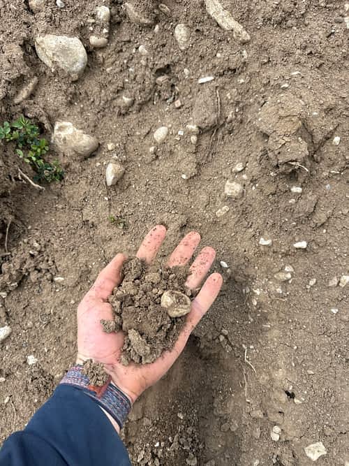 Unscreened Topsoil