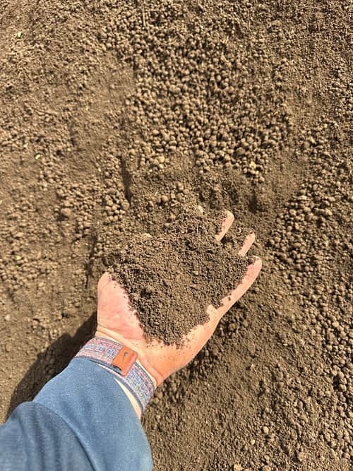 Screened Topsoil