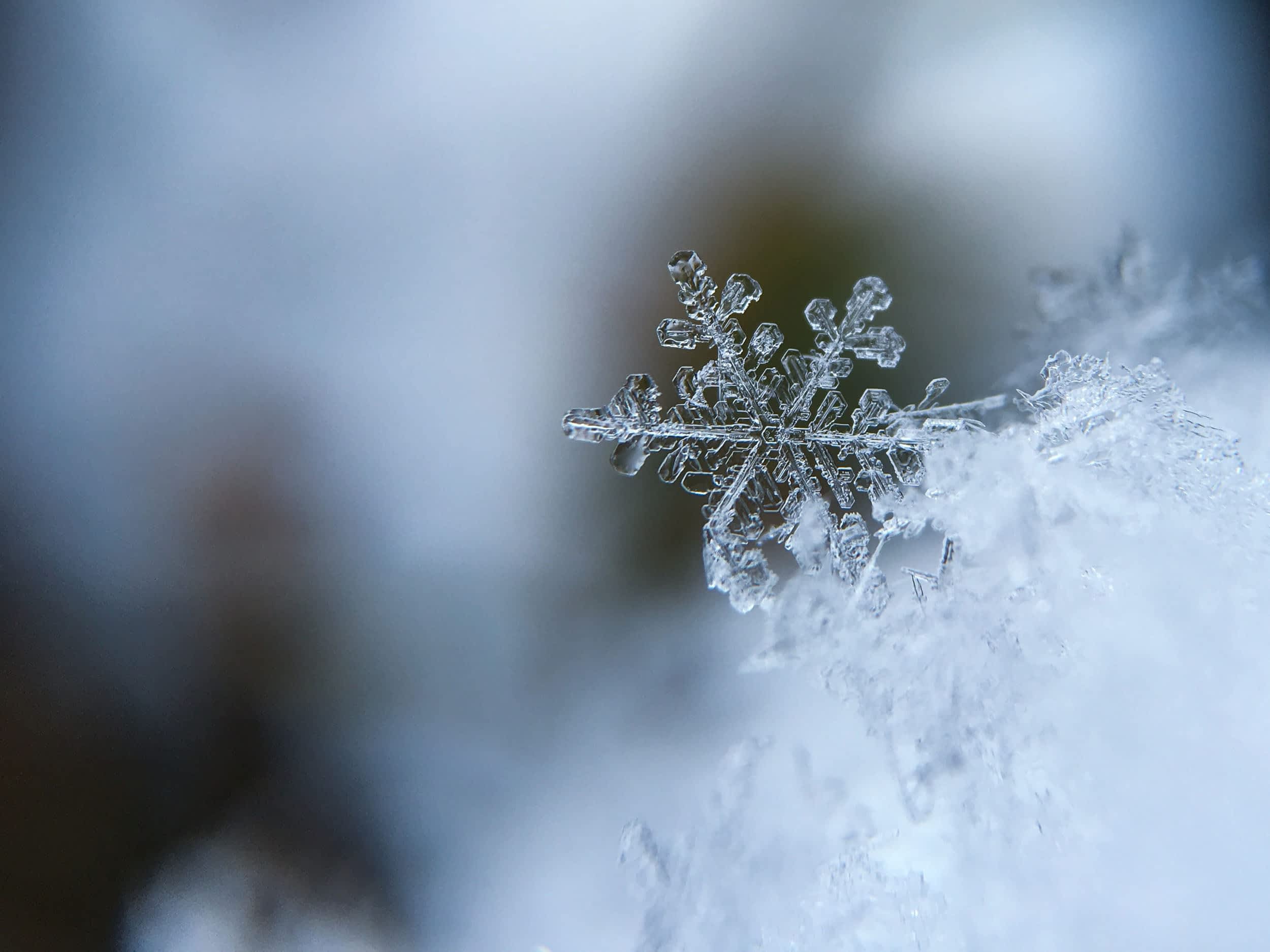 Grand Targhee Snowflake