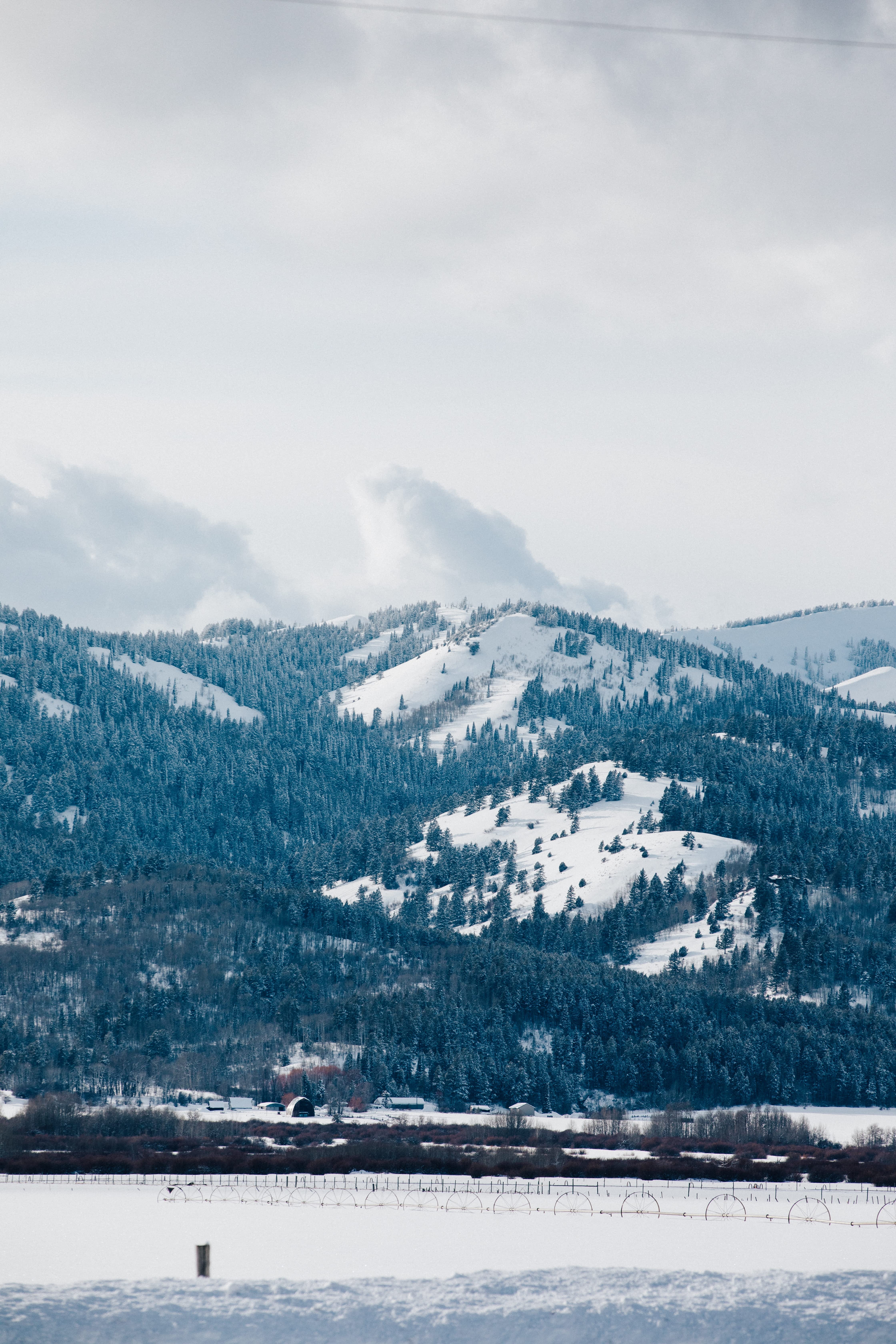 Grand Targhee Ski & Snowboard Foundation, As the Marketing Manager for a premier ski and snowboard organization, we are dedicated to providing top-notch winter sports education in the stunning snow-covered mountains of Grand Targhee. As part of the renowned Ski Snowboard Foundation, we proudly support both the Driggs Ski Team and Victor Ski Team, offering exceptional training opportunities in collaboration with our Wyoming Ski Team partners.

Our facility near picturesque pine trees under a cloudy sky is an ideal location for aspiring athletes seeking a world-class ski academy experience. Join us at our upcoming snowboard events and exhilarating freeride events where passion meets performance on pristine snowy fields.

Whether you're interested in learning more about Ski Idaho or exploring new heights in your skiing or snowboarding journey, our Grand Targhee Ski & Snowboard Foundation is your destination for excellence. Come be part of an extraordinary winter adventure that blends education and excitement like never before!.