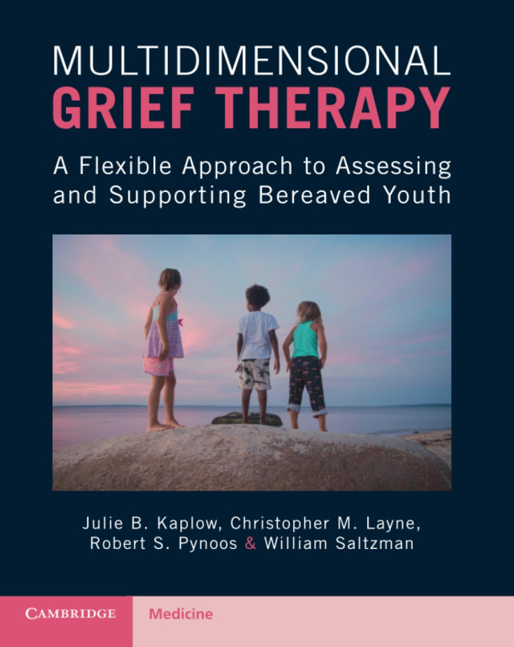 Multidimendional Grief Therapy Author Julie Kaplow