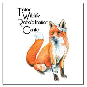 Centro de Rehabilitación de Fauna Silvestre Teton