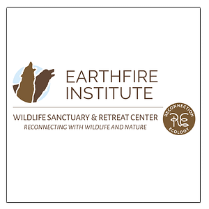 Instituto Earthfire