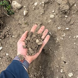 Unscreened Topsoil