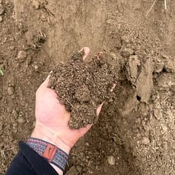Clean Topsoil/ Loam