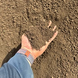Screened Topsoil