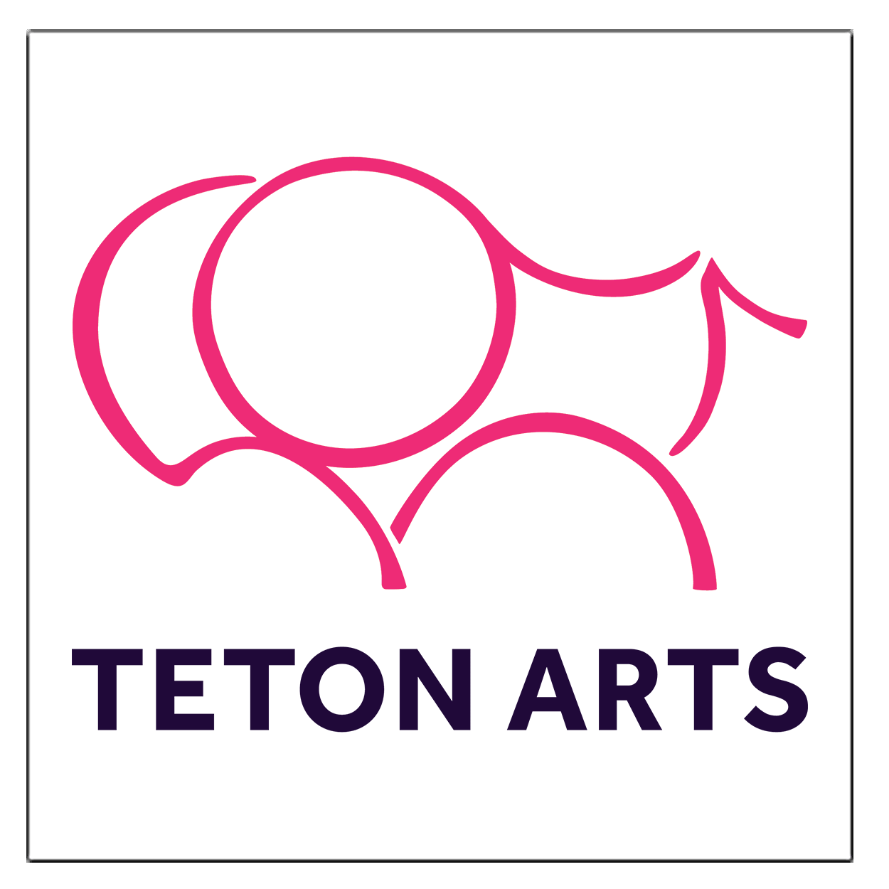 Teton Arts