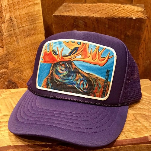 il_fullxfull.1236765891_82g7.jpg Kids Trucker Hats - Custom Artwork by Nicolette Maw