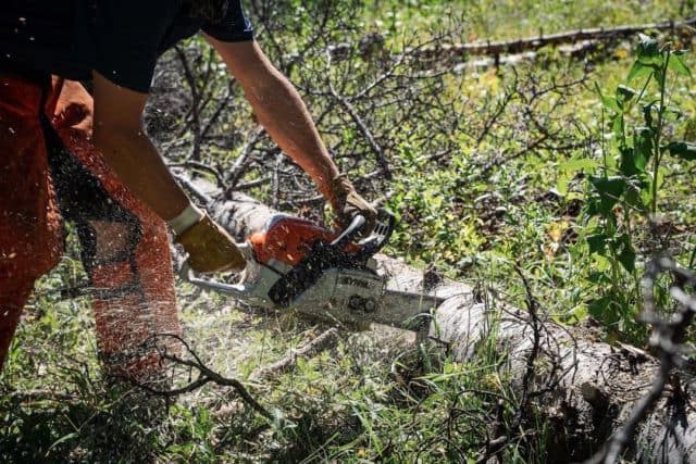 Want to get your hands dirty on some backcountry singletrack? Join the @thecarriboojack trail maintenance day tomorrow, Saturday, August 13th! They're doing a little nip-n-tuck on Fogg Hill before the race on August 27th. Link in our bio for more info! 
⁠
📍Upper Rainey Cr TH⁠
⏱ 9:00 am⁠
⁠
Expect a day in the mountains. Bring your bike, pack, and plenty of water and snacks.⁠
⁠
More info in the link in our bio.⁠
⁠
📸 @bengavelda & @cortmuller