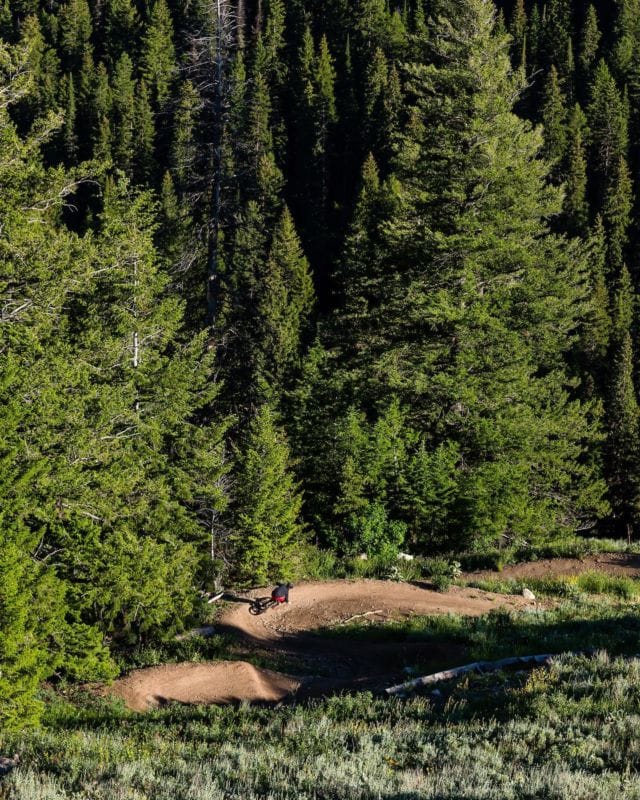 It’s Old Bill’s Day. Don't forget to support your favorite trails! 
Donation link in bio! 
📷: @jaygoodrich
#oldbills2021 
#tetonfreeriders
#tetonpass